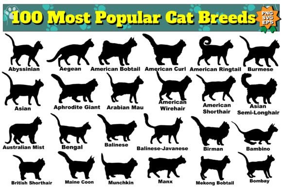 101 Cat Silhouette Cat Breeds SVG