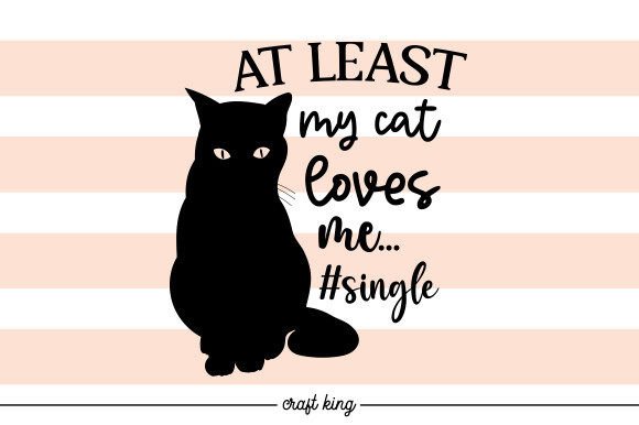 At Least My Cat Loves Me... single