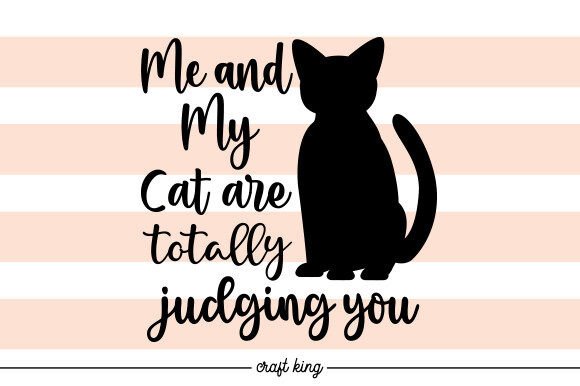 ME and MY CAT ARE TOTALLY JUDGING YOU