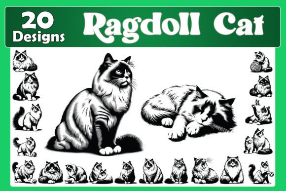 Ragdoll Cat Clipart SVG Bundle